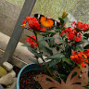 Meet your Posher, Sebastien